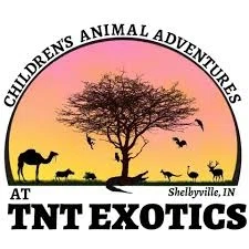 TNT Exotics