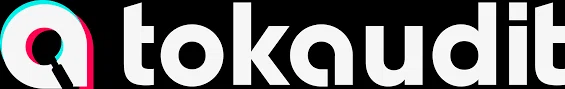 TokAudit