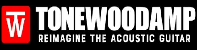 ToneWoodAmp