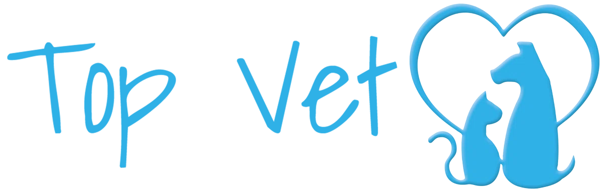 Top Vet Animal Hospital