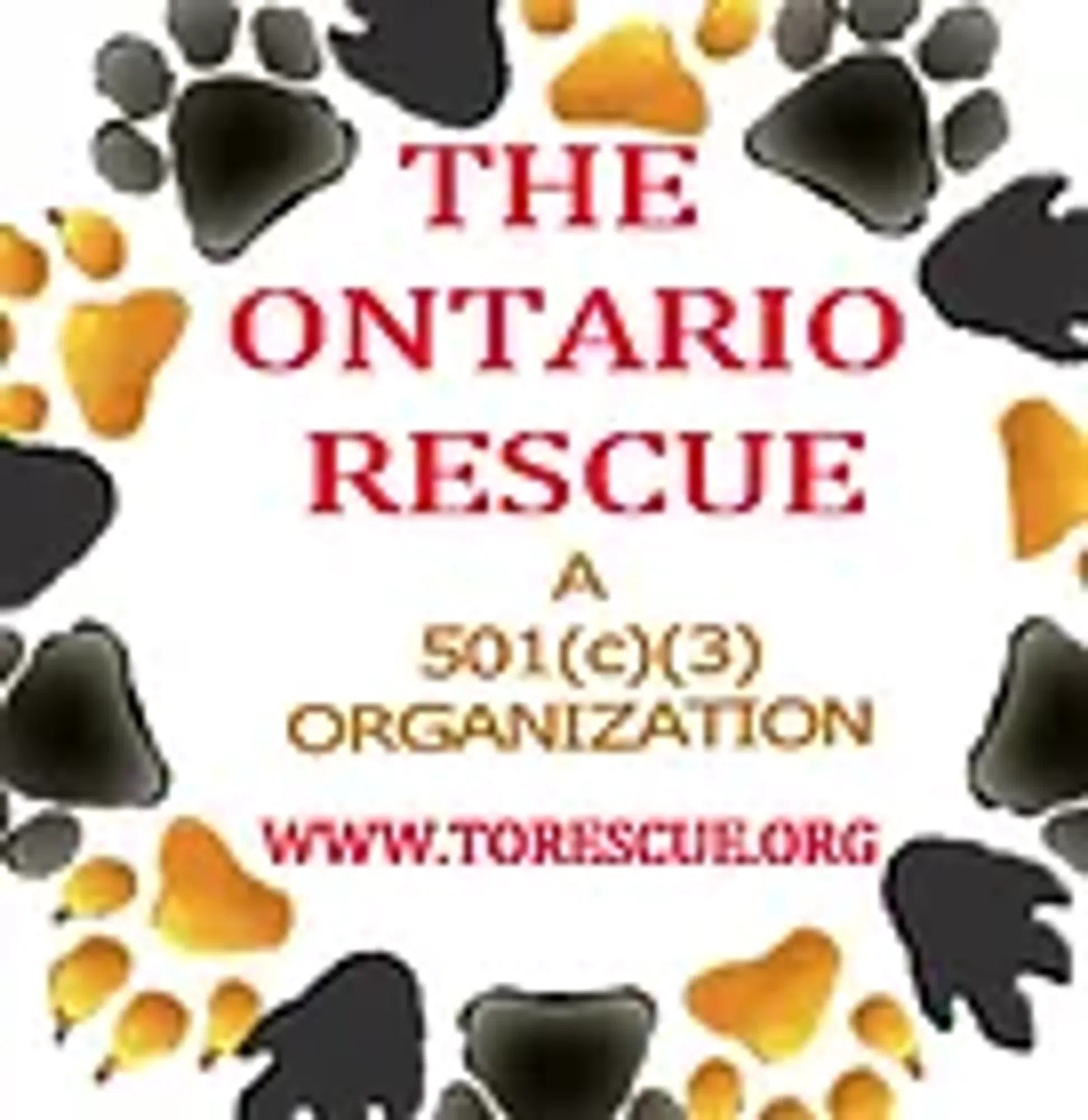 The Ontario Rescue