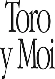 Toro Y Moi