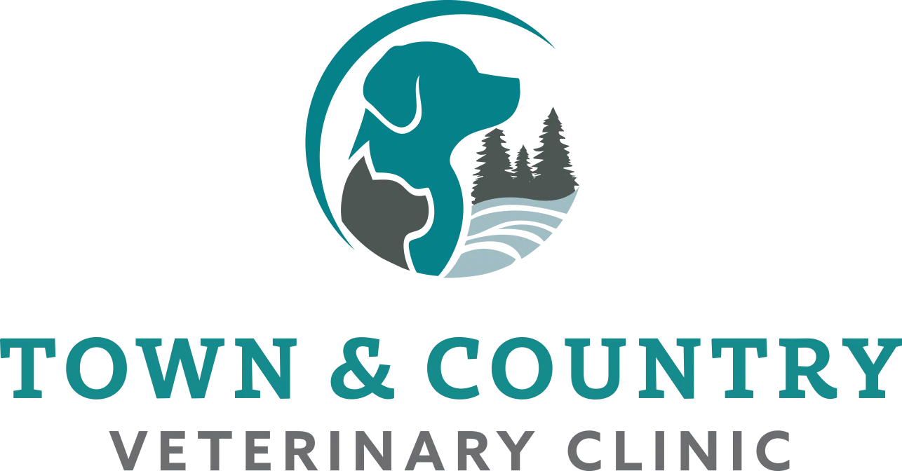 Town and Country Veterinary Clinic