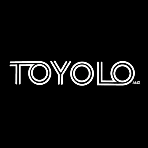Toyolo Promo: Flash Sale 35% Off