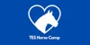 Traditional Equitation School