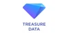 Treasure Data