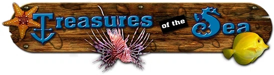 Treasures of the Sea