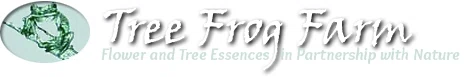 Tree Frog Farm