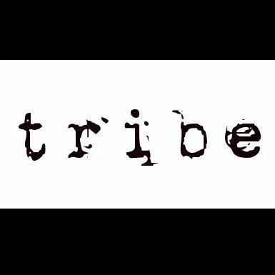 Tribe Salon