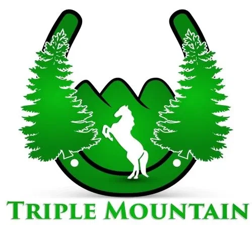 Triple Mountain Model Horses