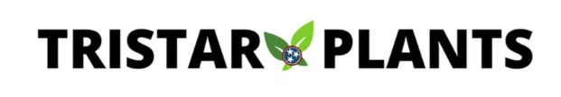 Tristar Plants