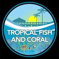 Tropical Fish and Coral