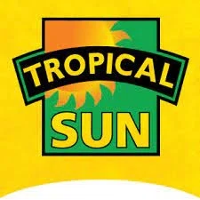 Tropical Sun Logo for Promo Codes