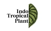 Indo Tropical Plant