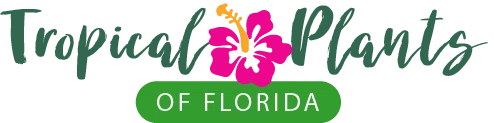 Tropical Plants of Florida