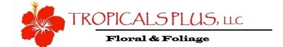 Tropicals Plus