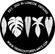 Tropicouture Plants