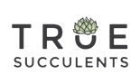 True Succulents