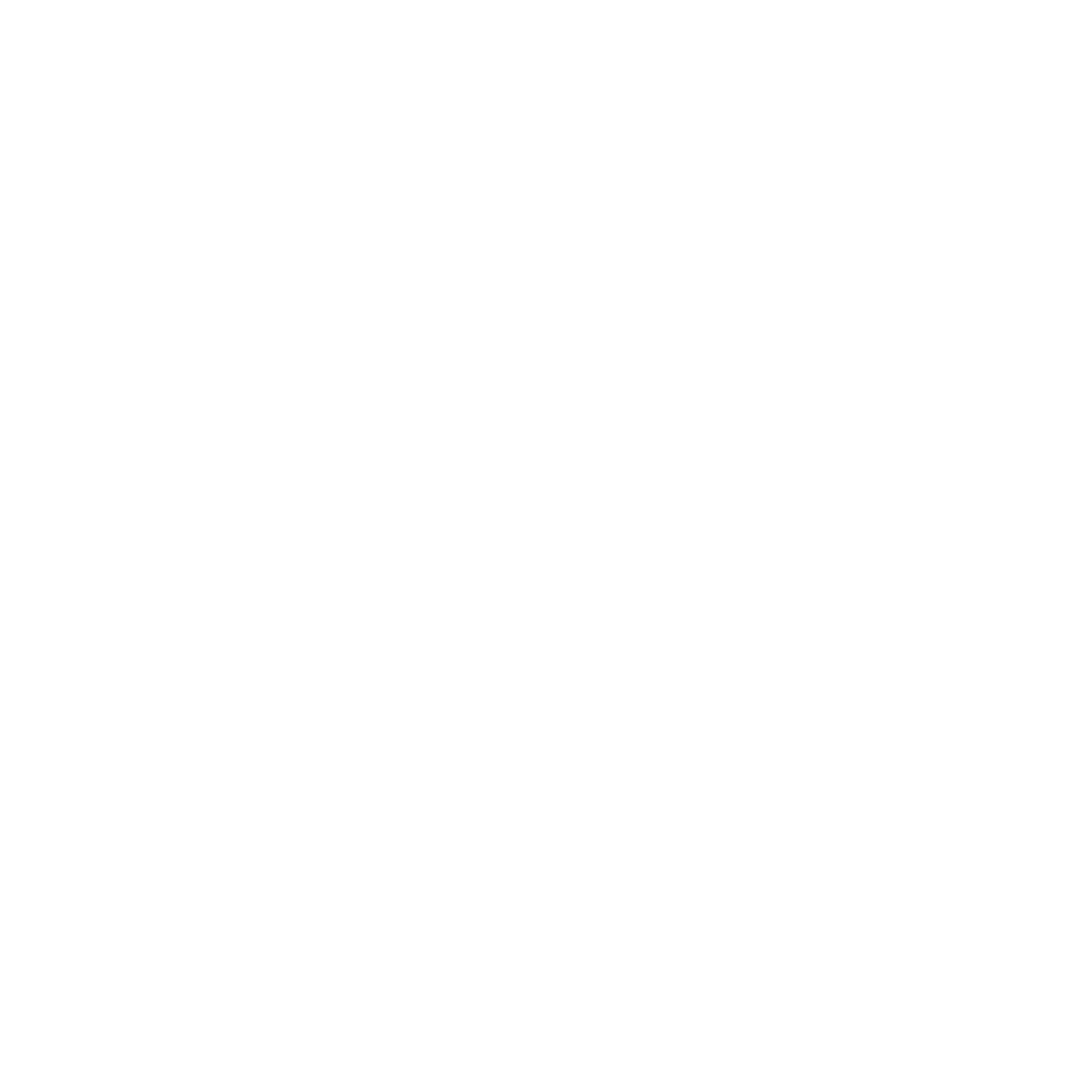 Truth BMX