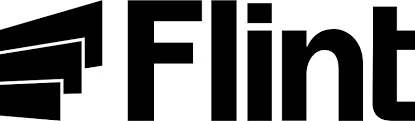 Tryflint.com