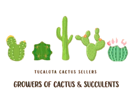 Tucalota Cactus Growers