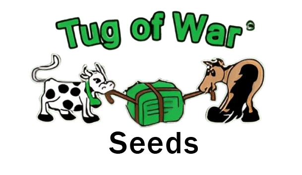 Tug of War Seeds