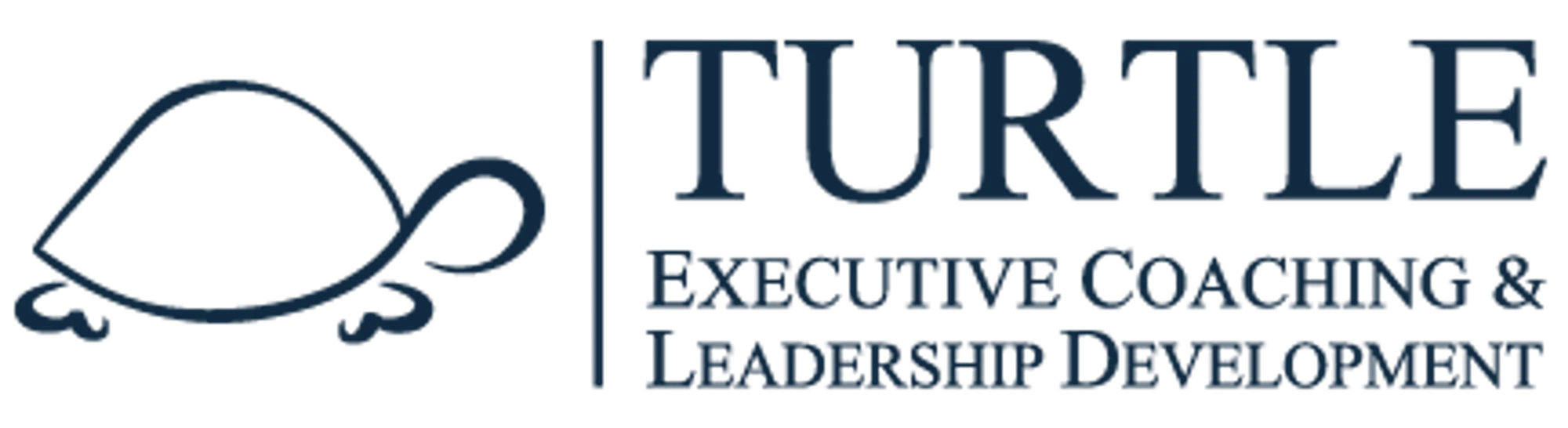 Turtle Executive Coaching