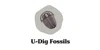 U Dig Fossils