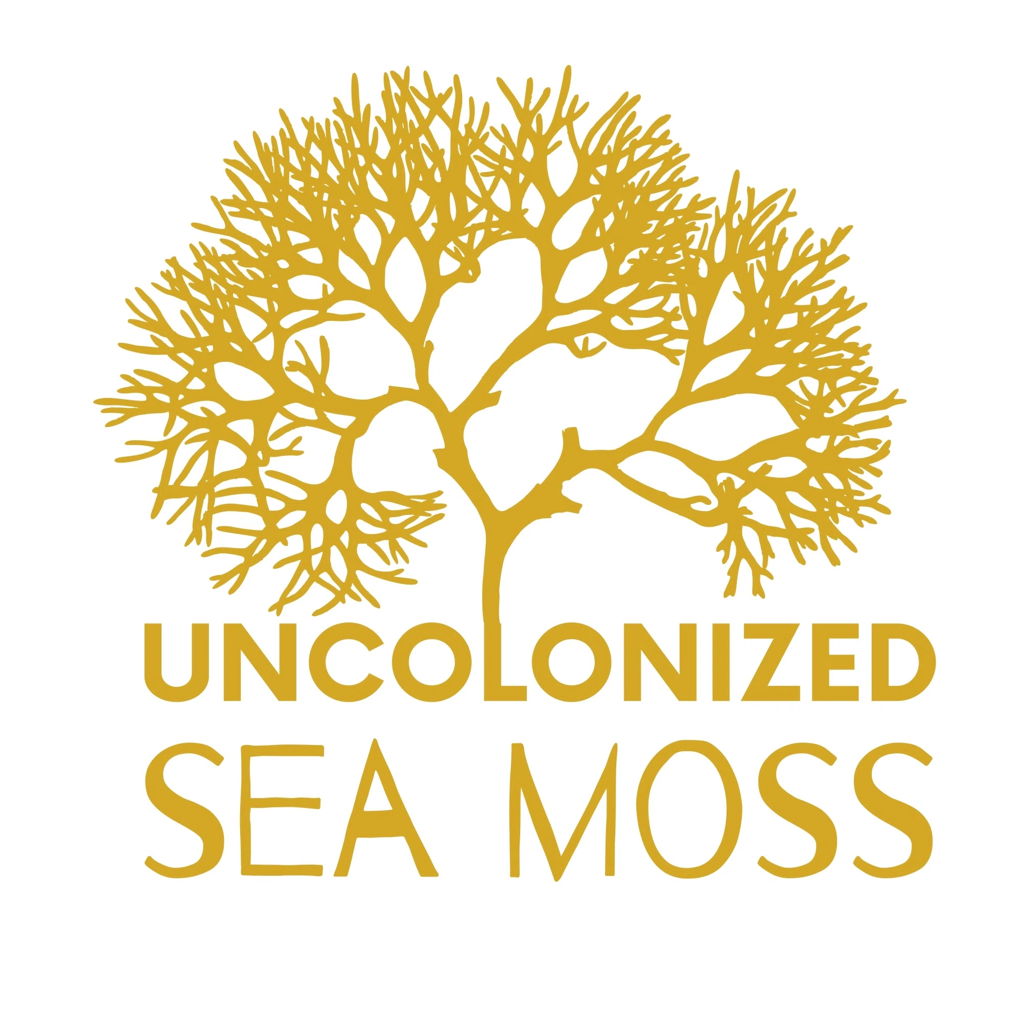 Uncolonized Sea Moss
