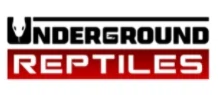 Underground Reptiles
