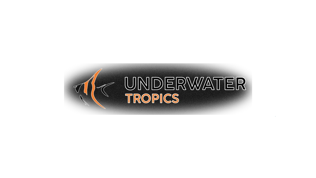 Underwater Tropics