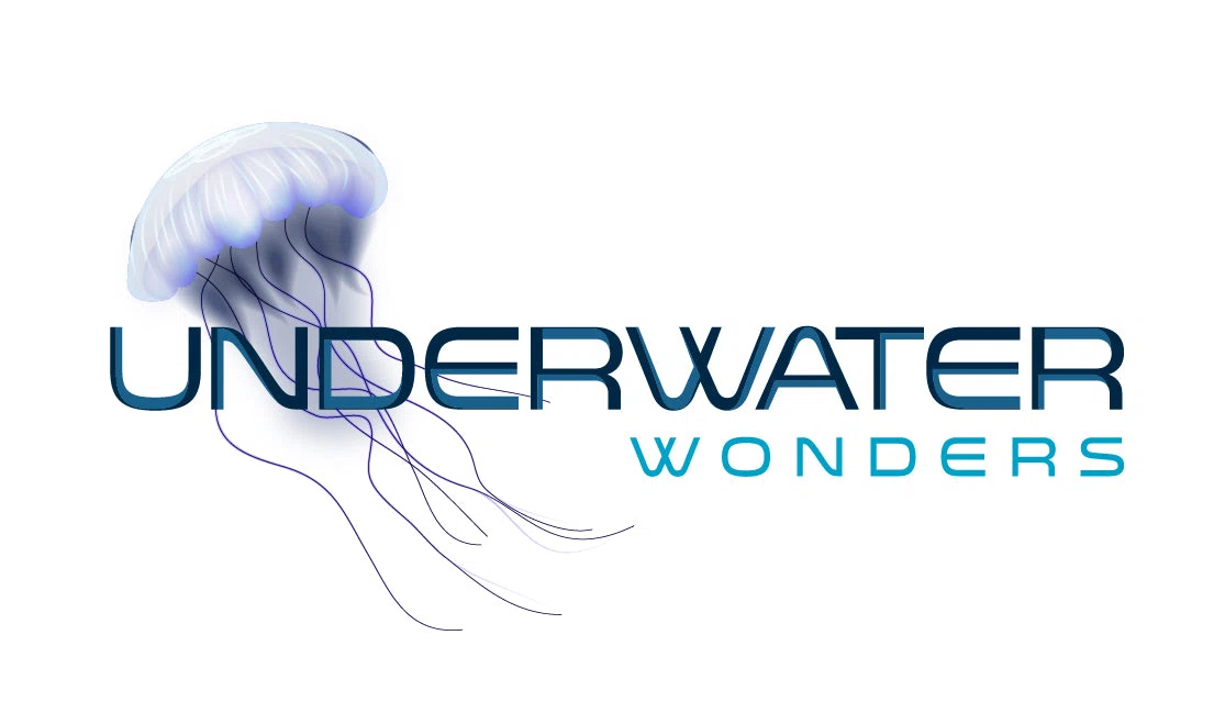 Underwater Wonders