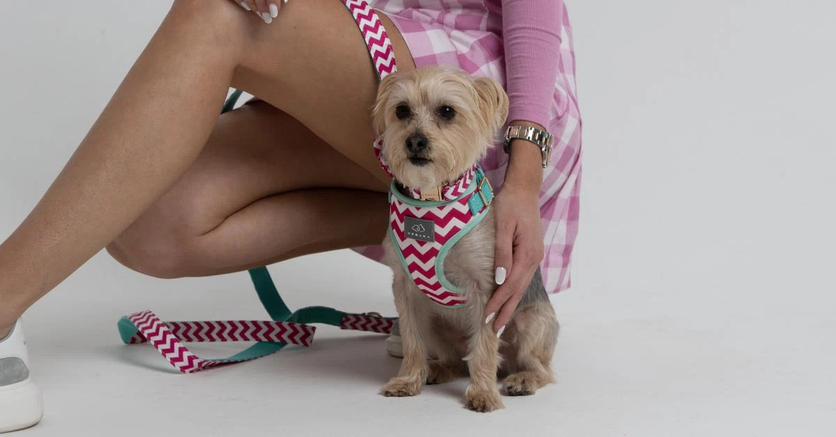 Urbana Pet Boutique Logo for Discount Codes