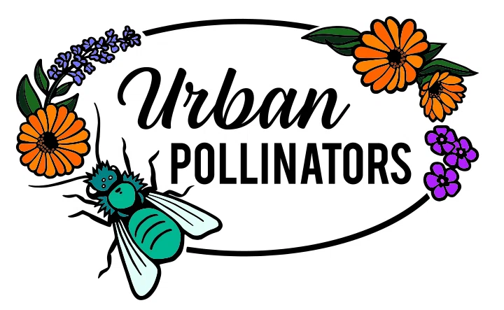 Urban Pollinators