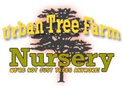 Urban Tree Farm Nursery