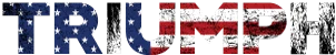 USA Triumph