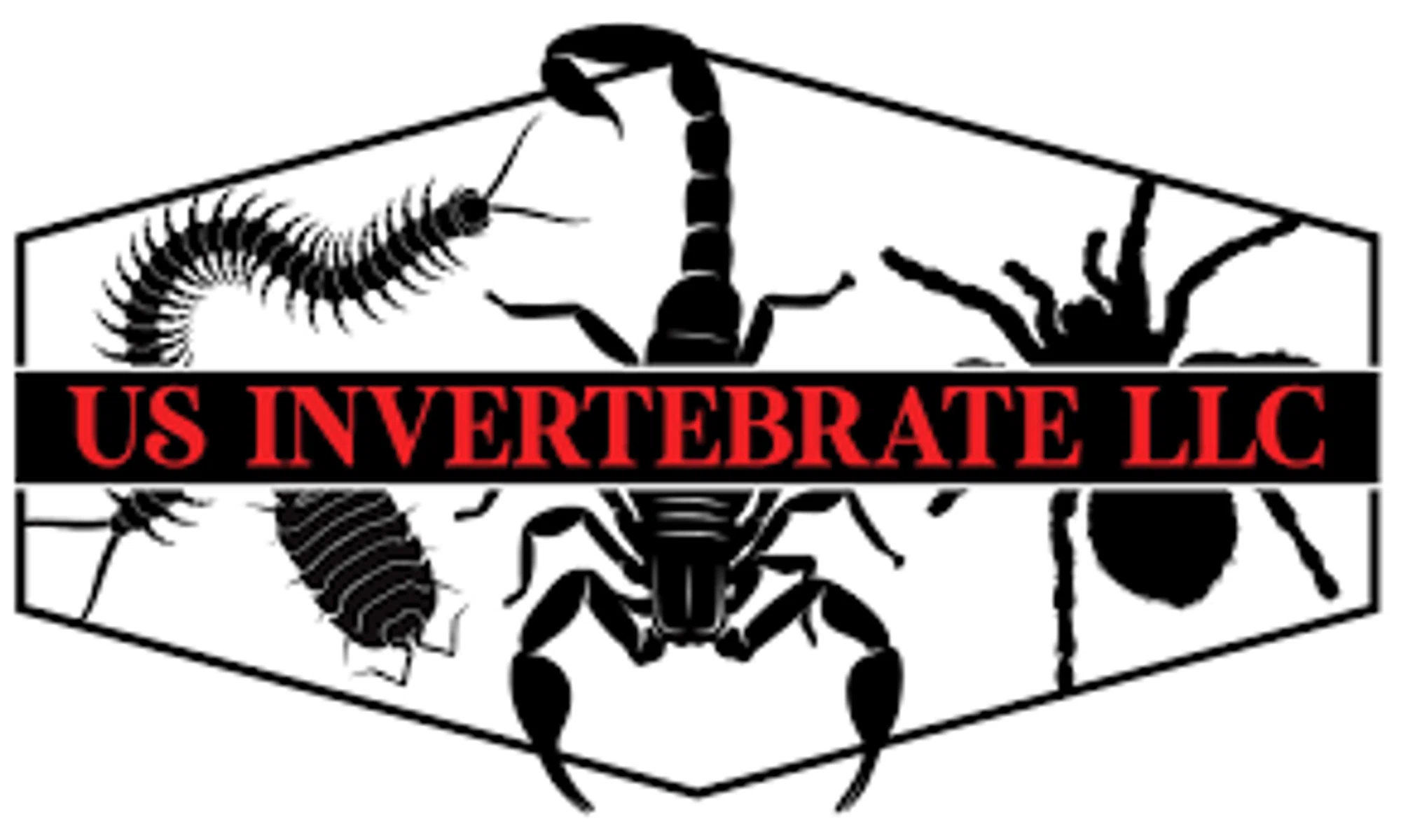 US Invertebrate LLC