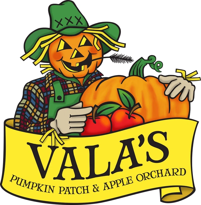 Vala's Pumpkin Patch