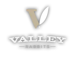 Valley Rabbits