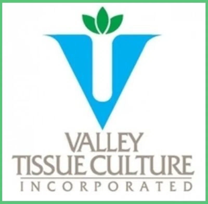 Valley Tissue Culture