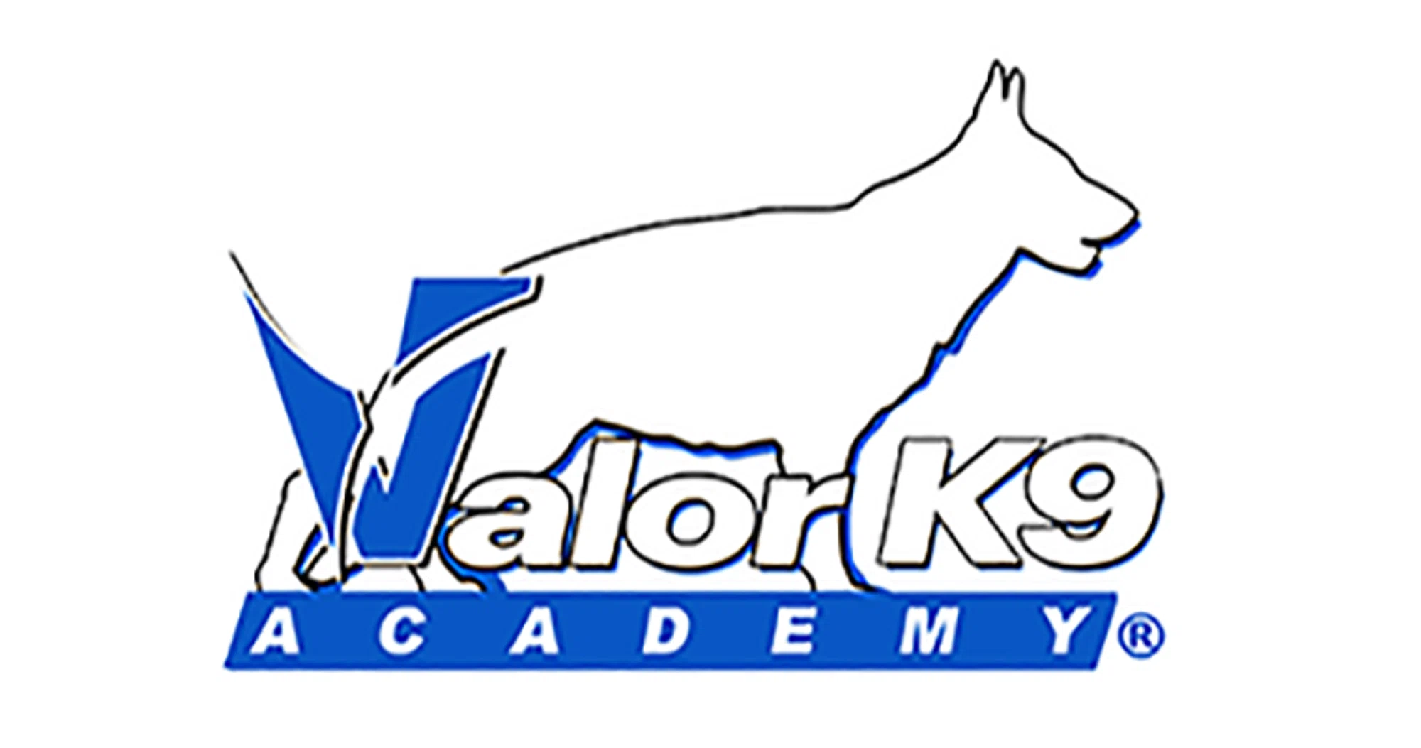 Valor K9 Academy