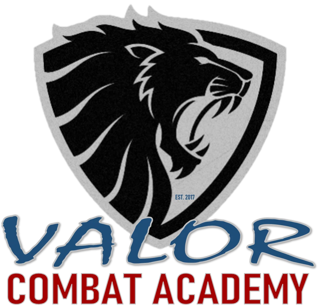 Valor Personal Defense Systems