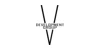 V Development Group