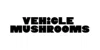Vehicle Chocolates