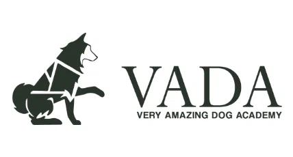 Very Amazing Dog Academy