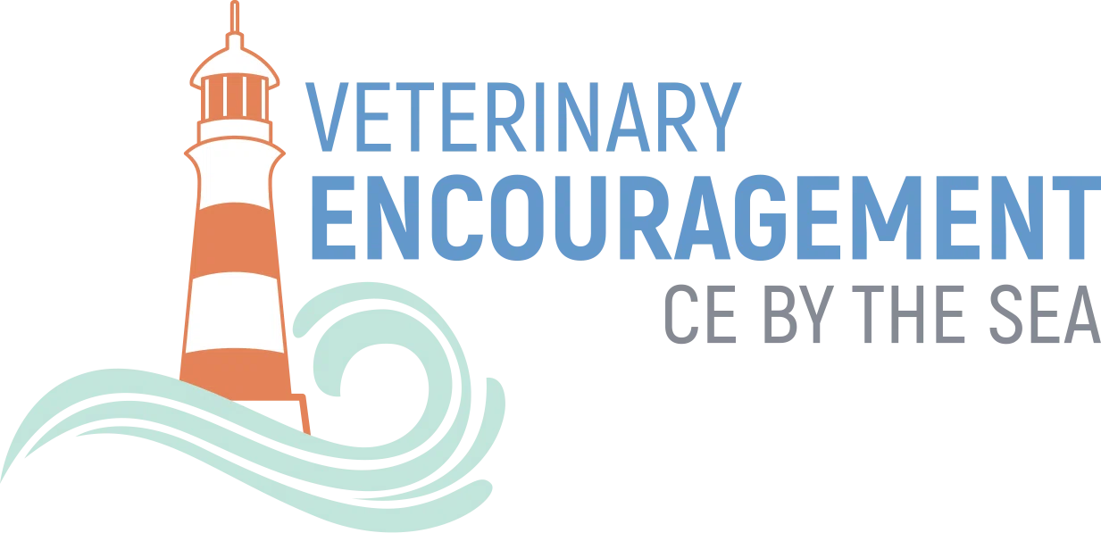 Vet Mom Encouragement