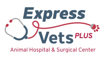 Express Vets Plus