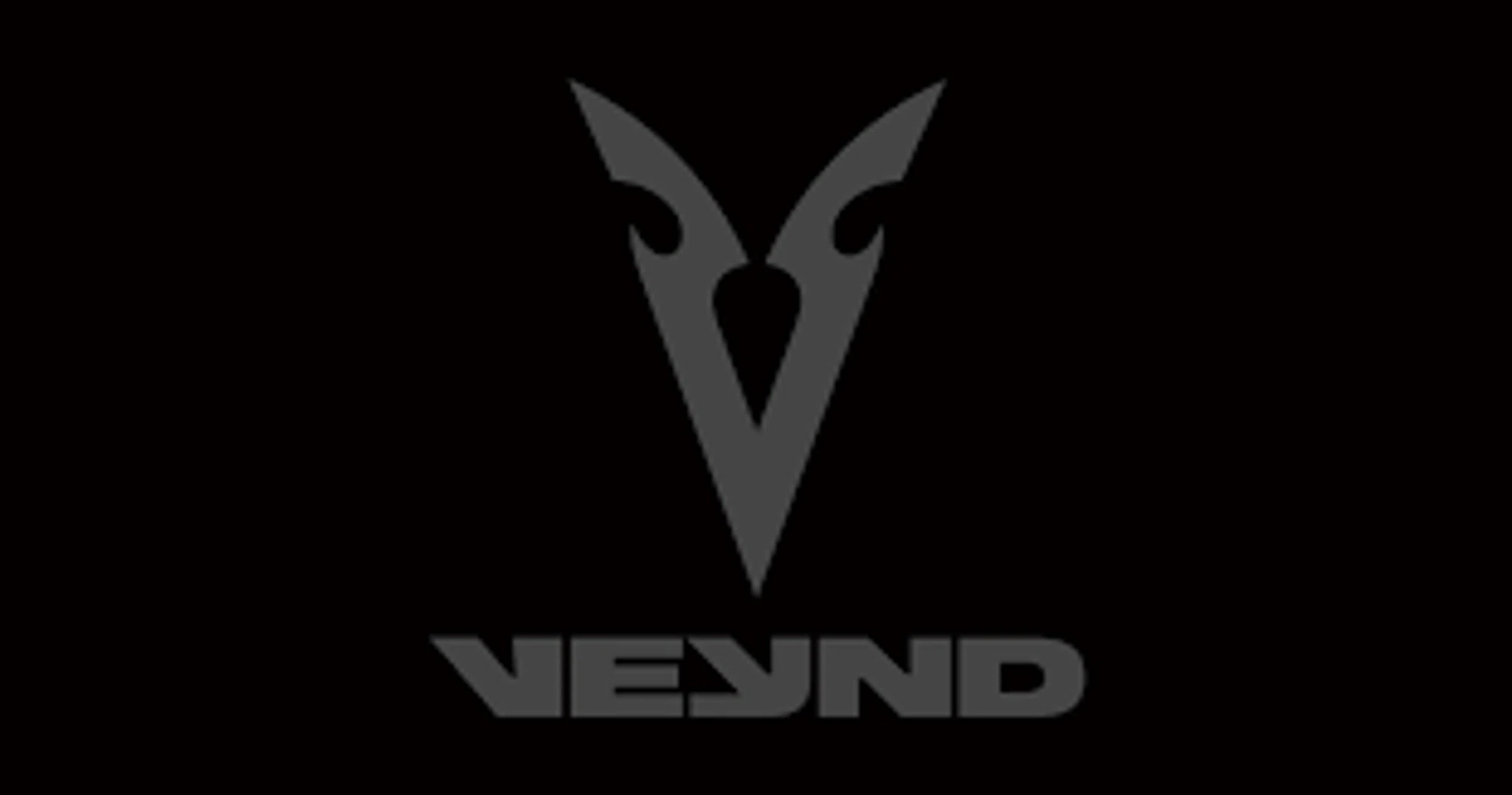 Veynd Logo for Promo Codes
