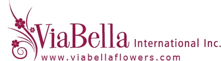 ViaBella International