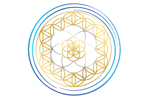 Vibroacoustic Solutions